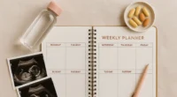 Weekly Pregnancy Checklist