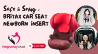 Britax Car Seat Newborn Insert