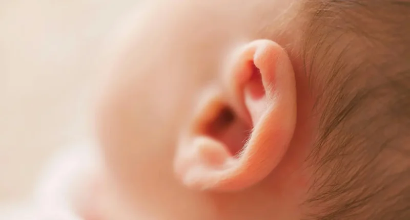 Baby Exposed to Loud Music at Wedding