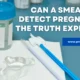 Can a Smear Test Detect Pregnancy