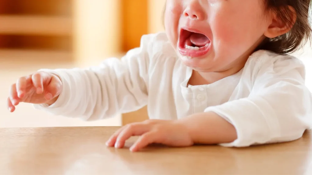 Help! My Baby Not Eating at Daycare – What To Do? baby eats at daycare but not at home