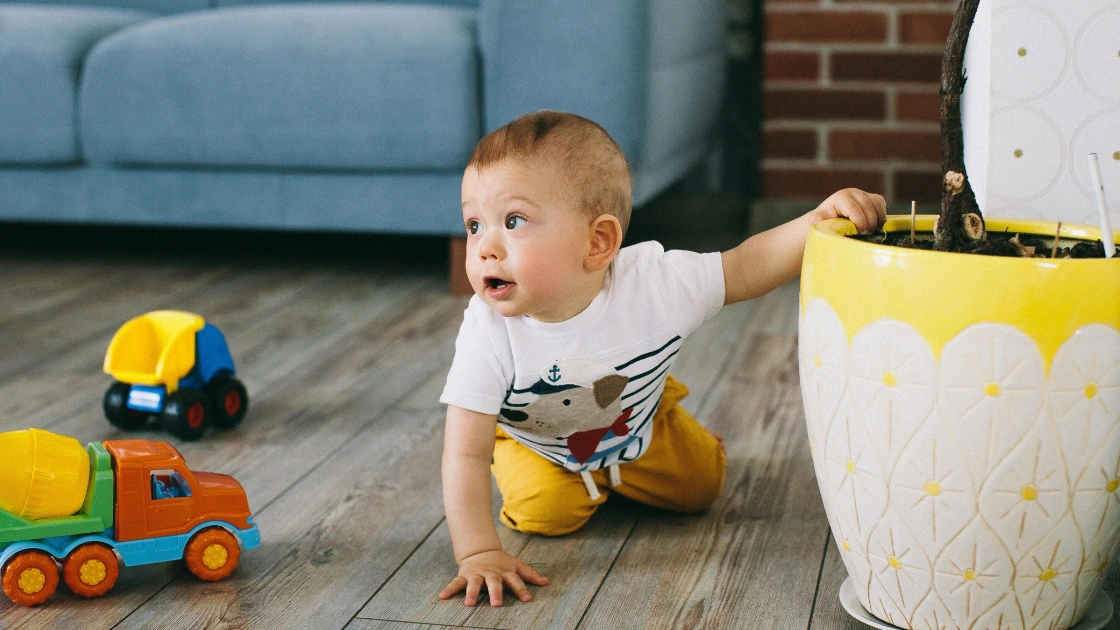 When Do Babies Start Crawling? – Full Milestone Guide When Do Babies Start Crawling and What Influences It