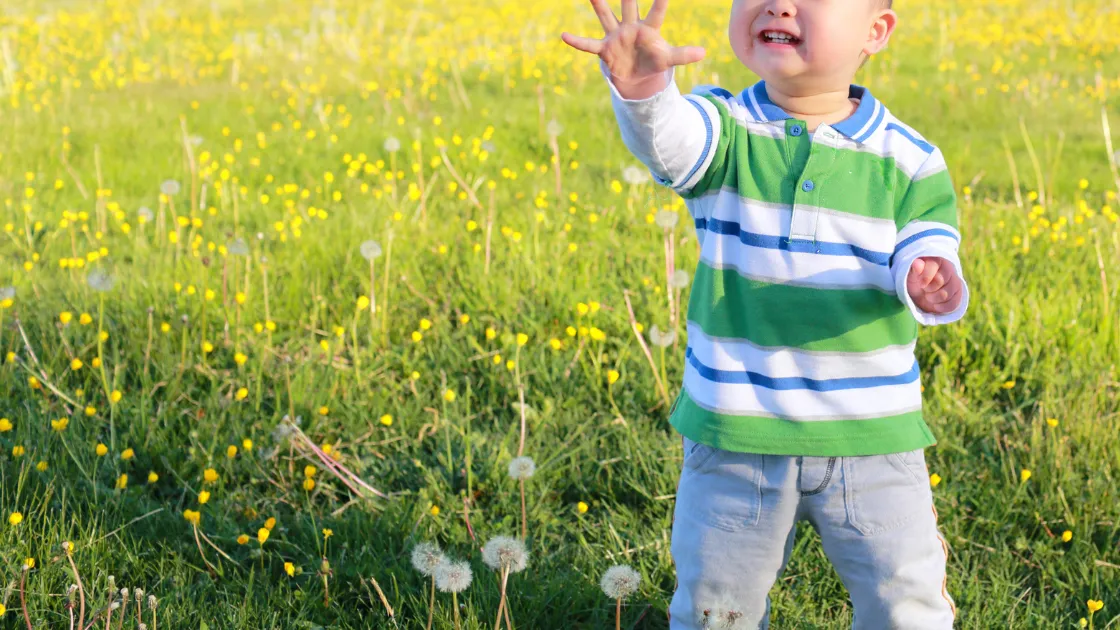 Top Baby Tee Picks & Styling Tips to Steal the Show! Baby Tees by Season