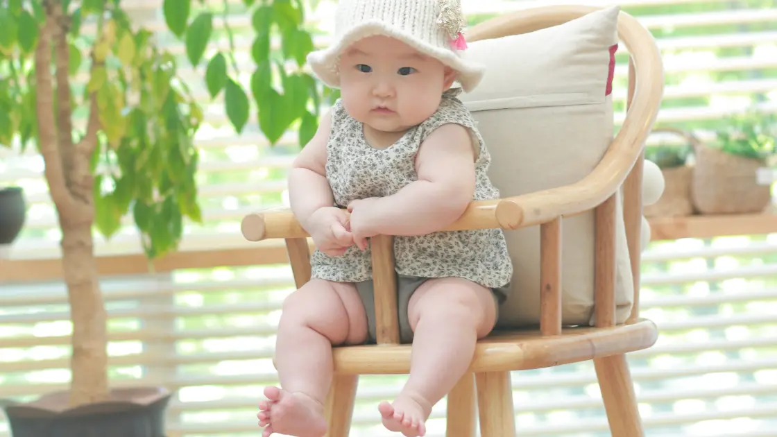Best High Chair for Baby: Top Picks for Safety & Comfort Eco-Friendly and Stylish Options