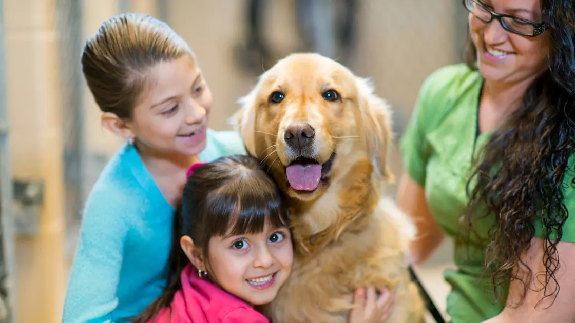Low Maintenance Pets for Kids: 15 Adorable Options Choosing a Pet