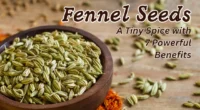 Fennel Seeds: A Tiny Spice with 7 Powerful Benefits