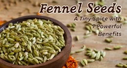Fennel Seeds: A Tiny Spice with 7 Powerful Benefits