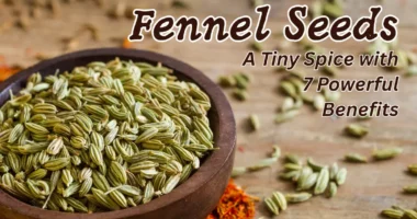 Fennel Seeds
