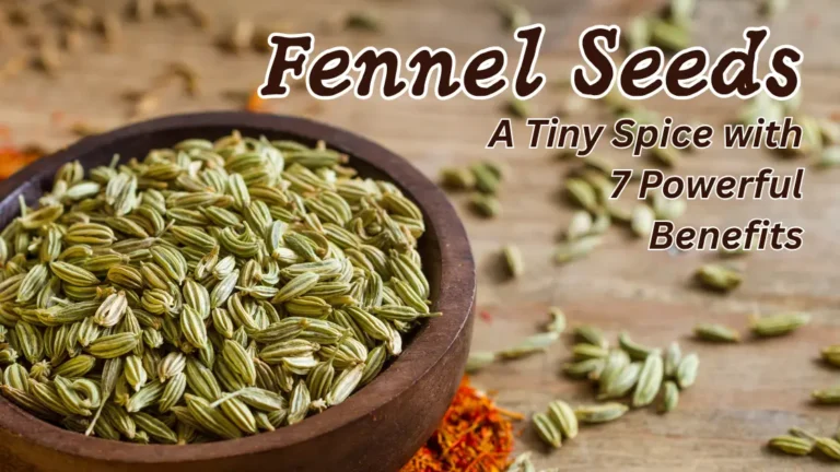Fennel Seeds