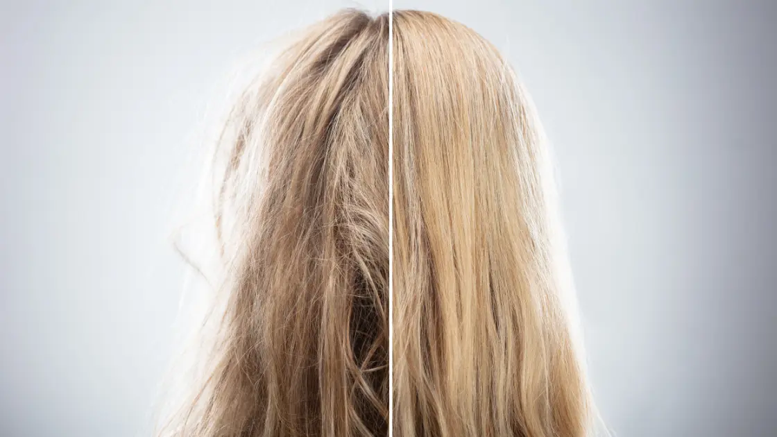 High vs Low Porosity Hair