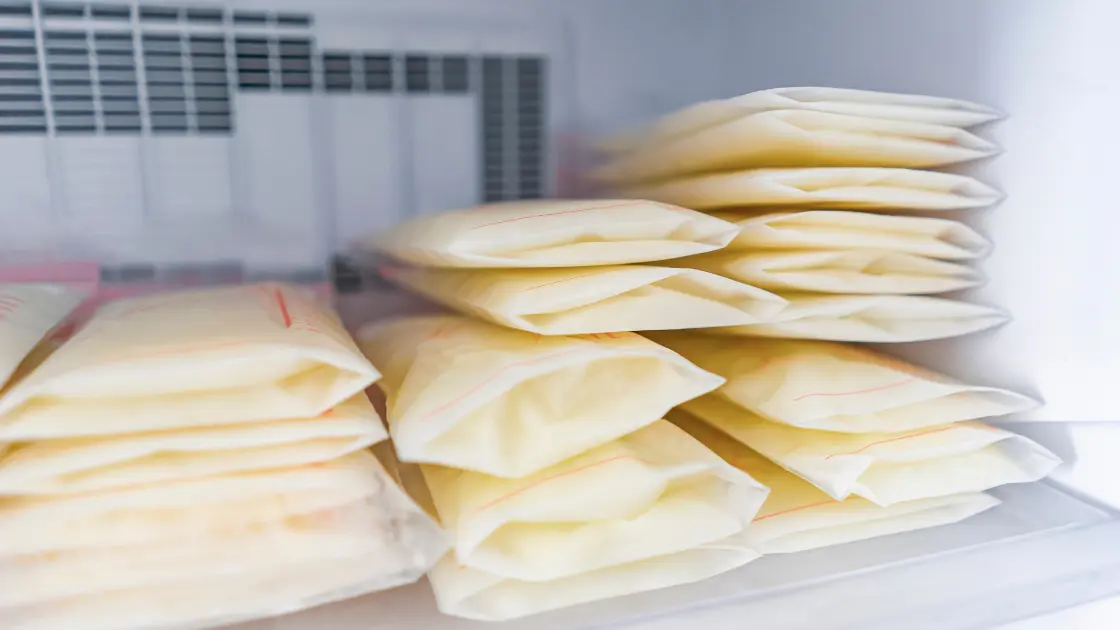 How to Store Mother Milk Properly 