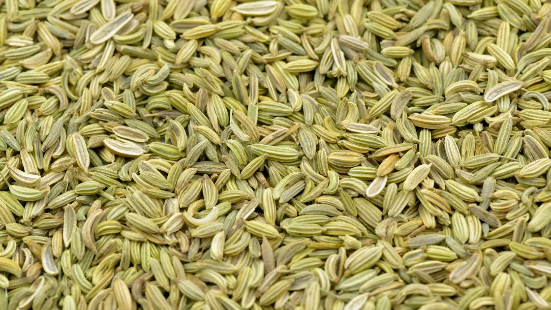 How to Store Fennel Seeds for Maximum Freshness