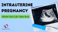 Intrauterine Pregnancy_ Where New Life Takes Root