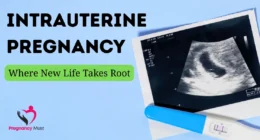 Intrauterine Pregnancy_ Where New Life Takes Root