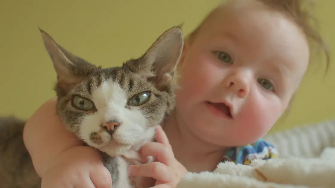 Low Maintenance Pets for Kids: 15 Adorable Options Low Maintenance Pets