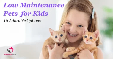 Low Maintenance Pets