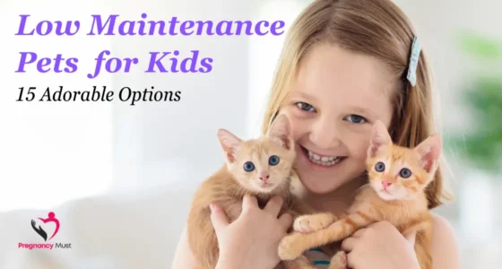 Low Maintenance Pets