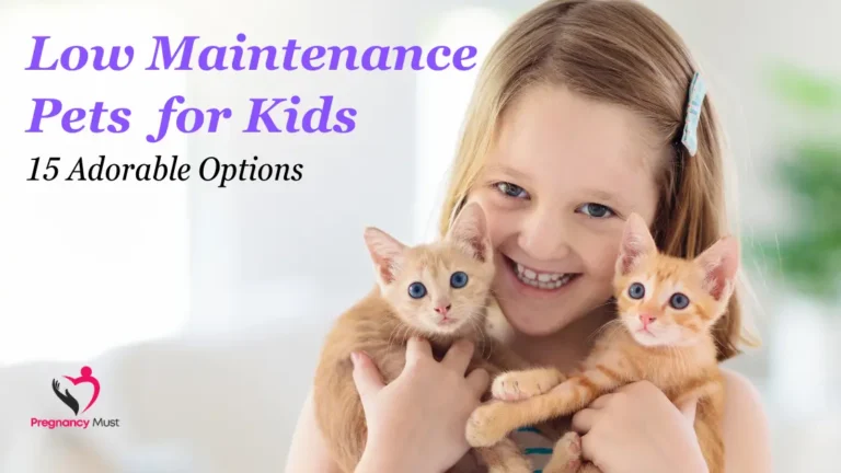 Low Maintenance Pets