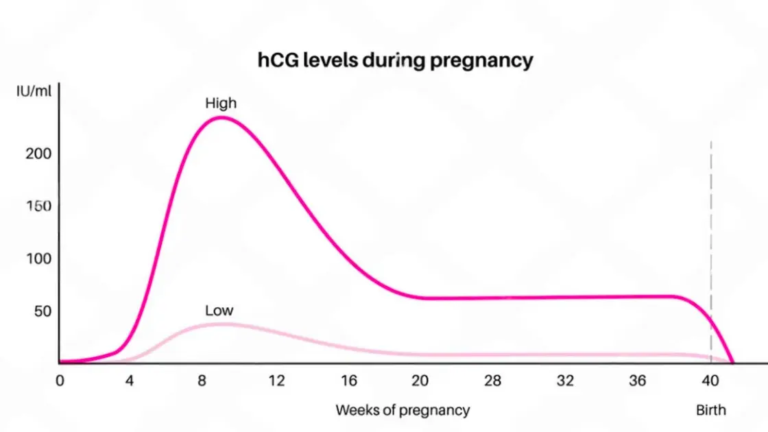 HCG Calculator: Track Twin Pregnancy Signs Like a Pro Monitoring HCG During Pregnancy
