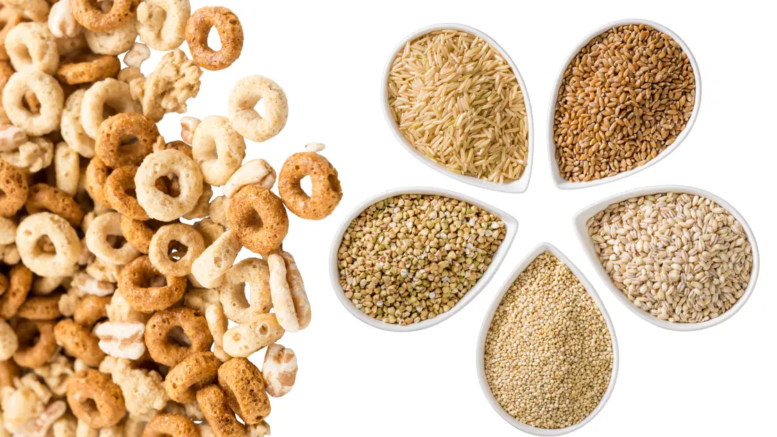 Best Baby Cereal Picks for a Powerful Start to Solids Multigrain Cereal
