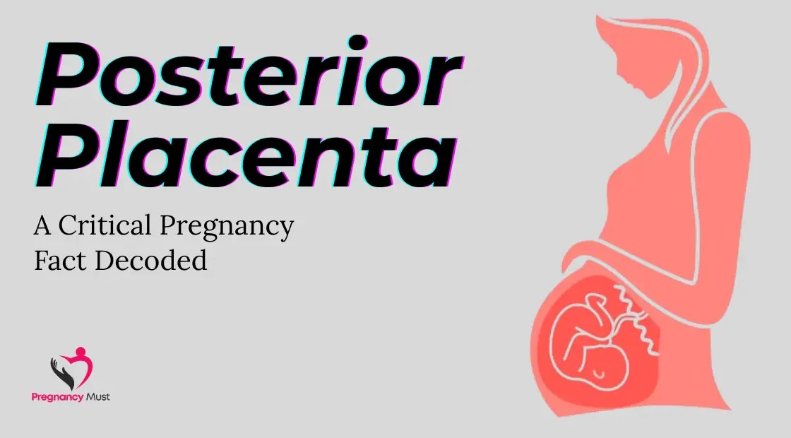 Posterior Placenta