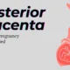 Posterior Placenta
