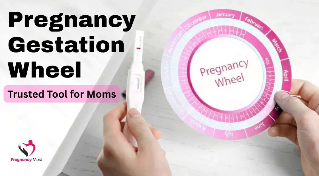 Pregnancy Gestation Wheel