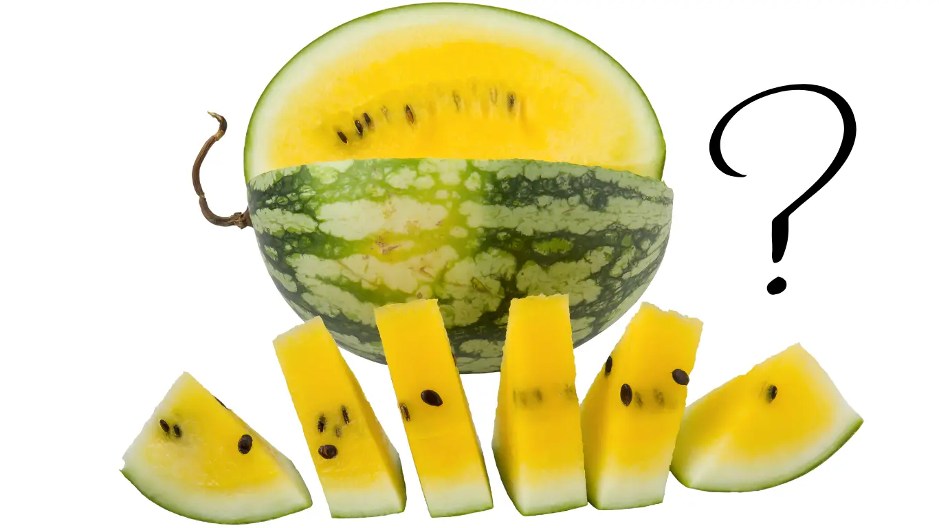 Yellow Watermelon for Pregnancy – Nature’s Juiciest Superfruit What Is Yellow Watermelon