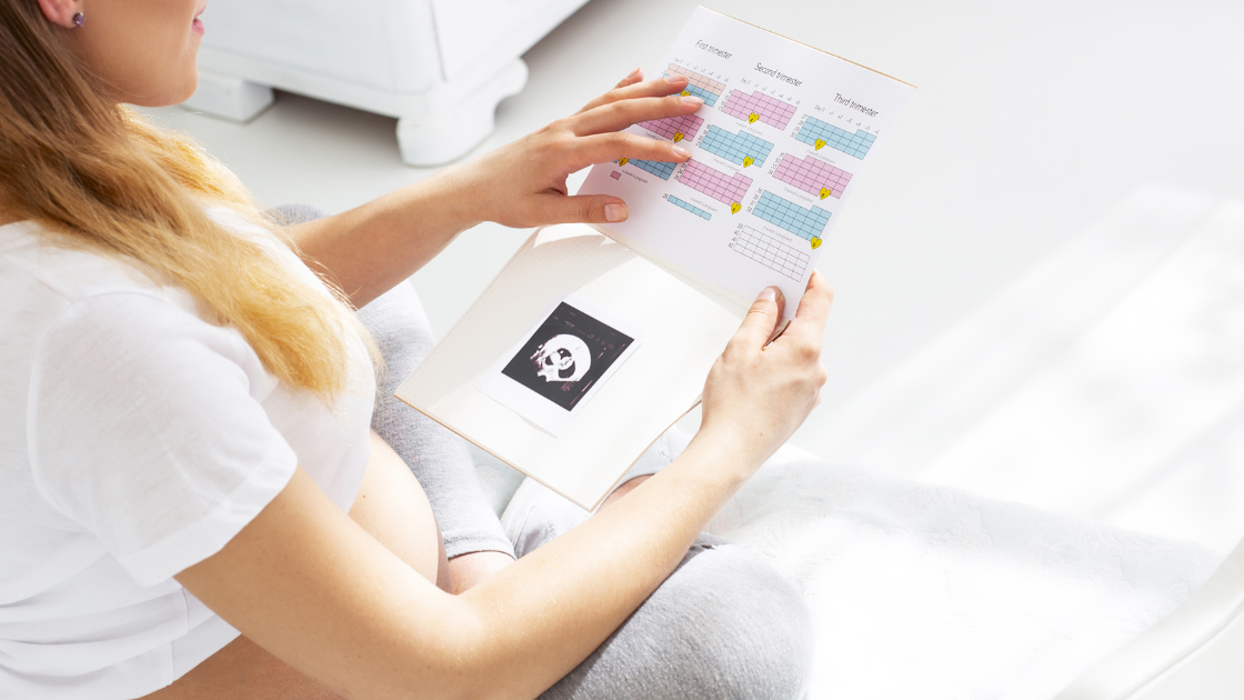 What Makes the Best Pregnancy Journal