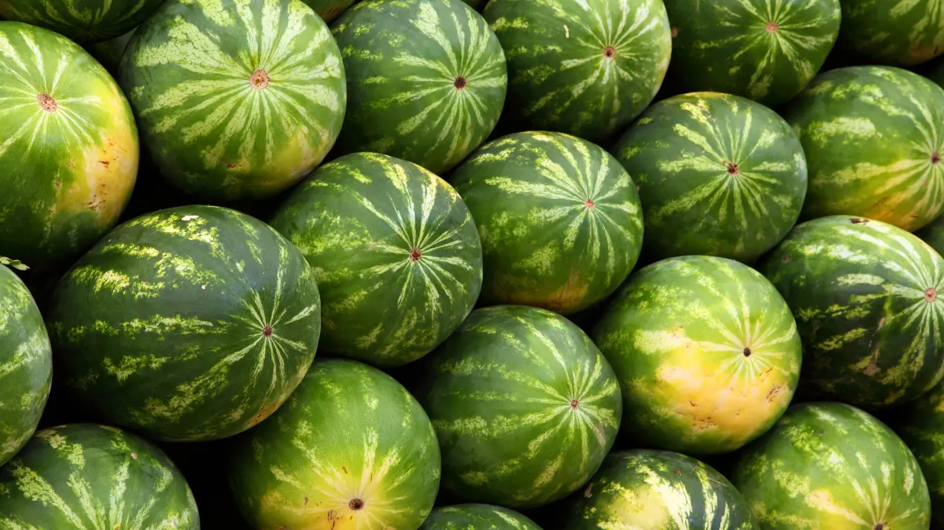 Yellow Watermelon for Pregnancy – Nature’s Juiciest Superfruit Yellow Spots in Watermelon Good or Bad
