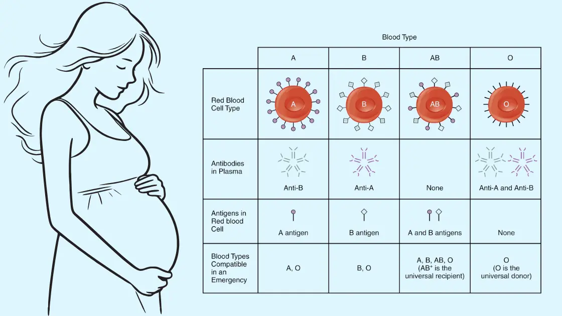 what is abo isoimmunization of newborn