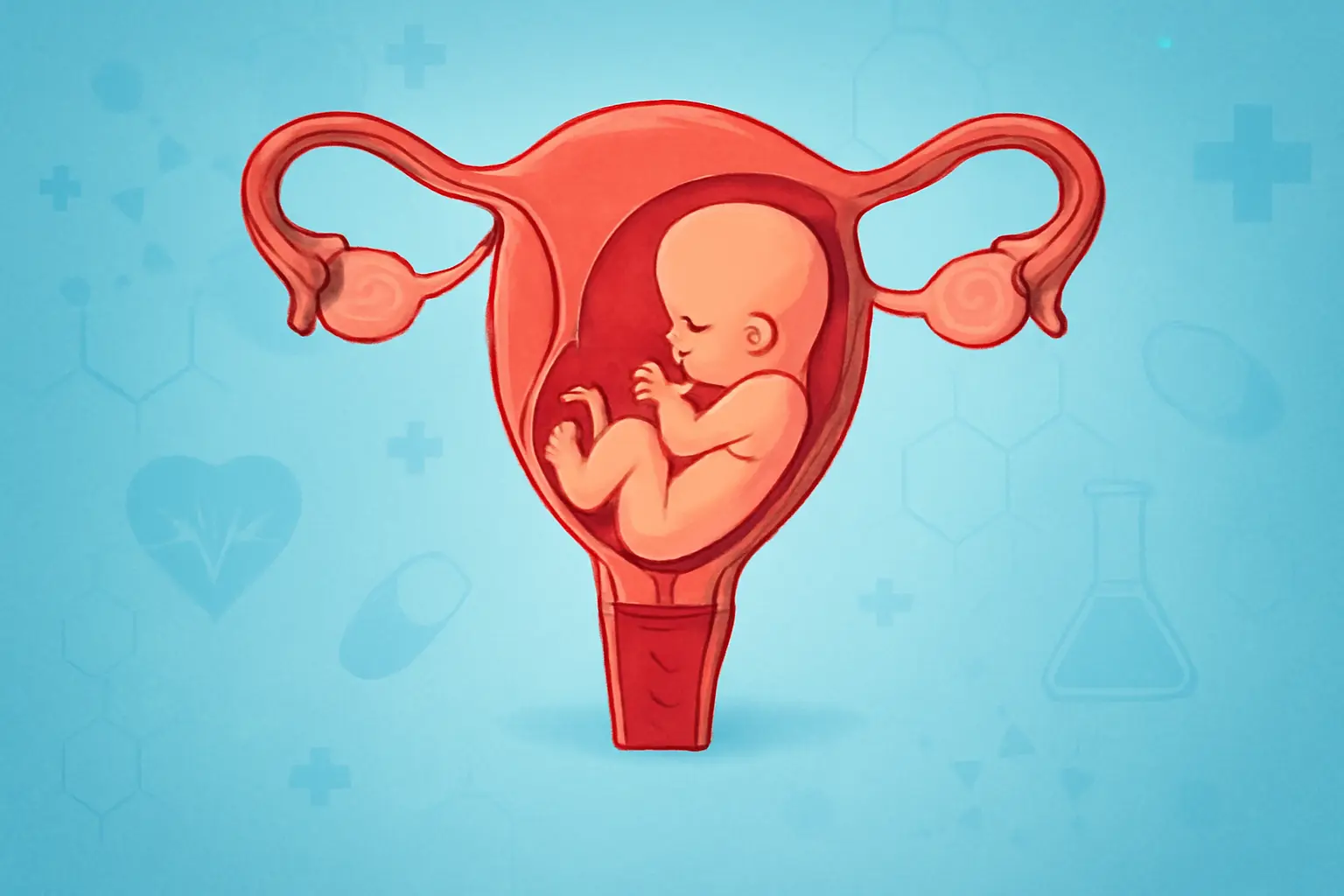 Anteverted Uterus