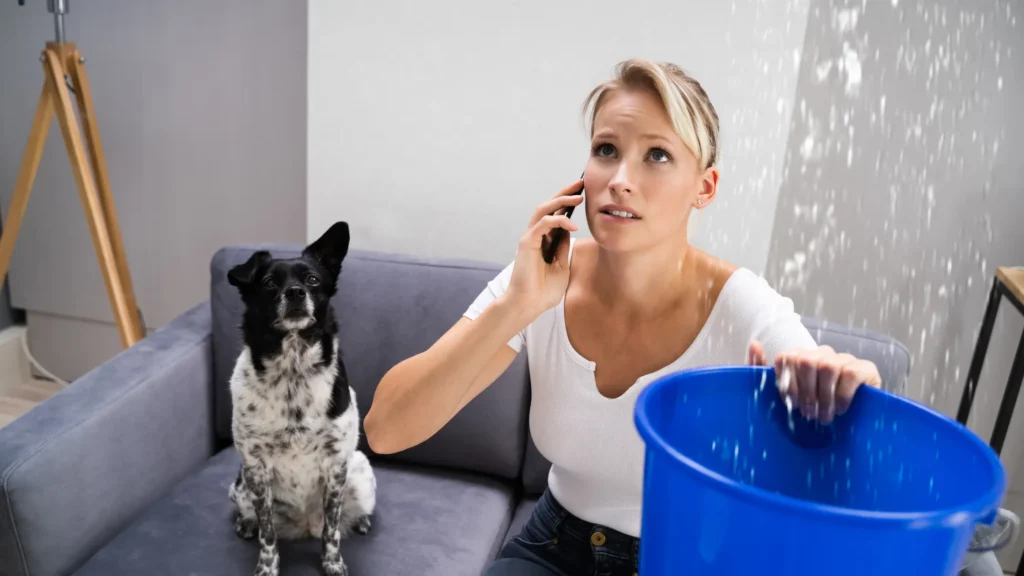 Ceiling Water Leak Repair