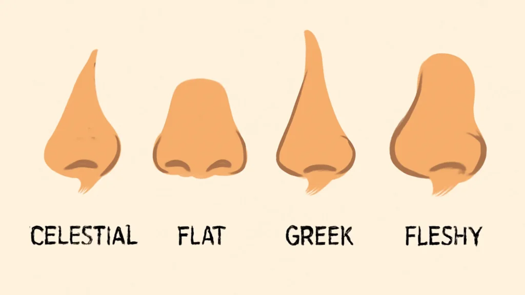 Nose Shapes in Babies: 5 Ways to Address Common Defects different nose shapes
