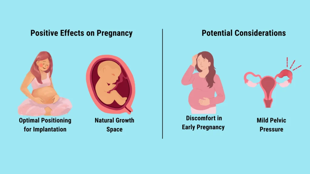 Anteverted Uterus: A Hidden Advantage in Fertility & Pregnancy anteverted uterus pregnancy bump