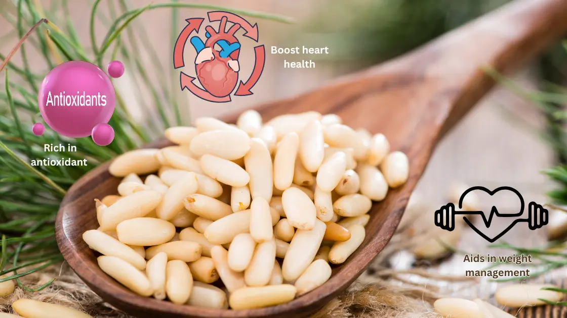 pine kernels benefits