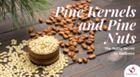 pine kernels and pine nuts