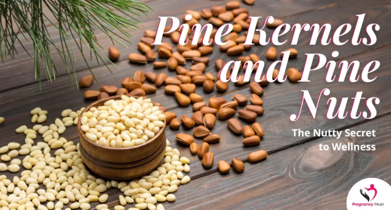 pine kernels and pine nuts