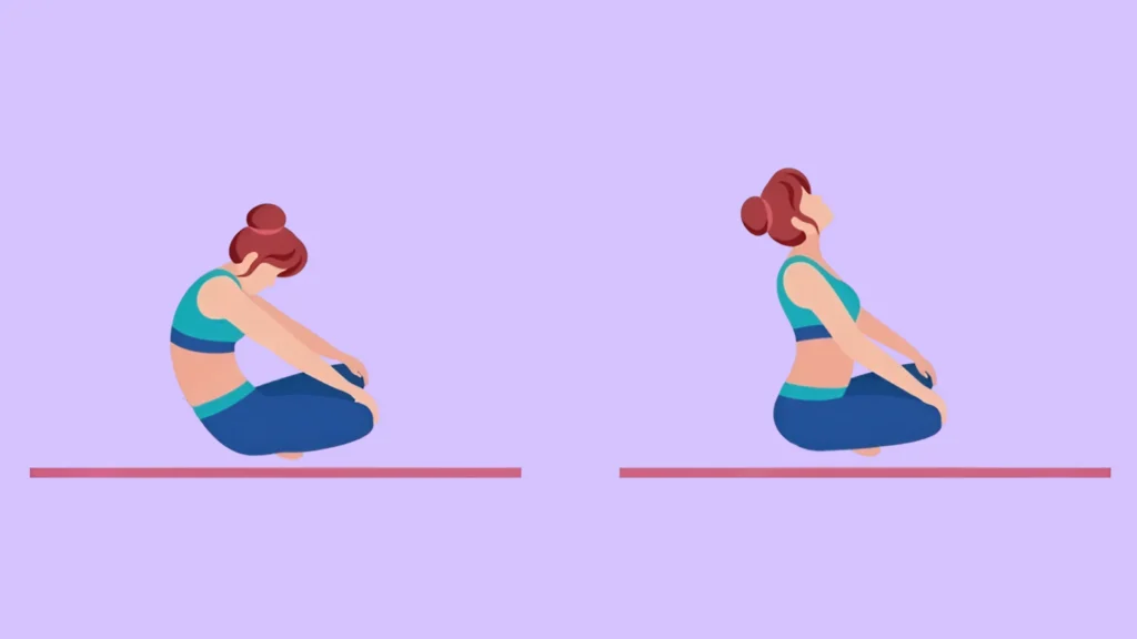Seated Cat-Cow Pose