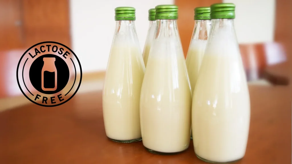 Shelf Stable Milk: 10 Premium Brands Shaping Nutrition Shelf Stable Lactose Free Milk
