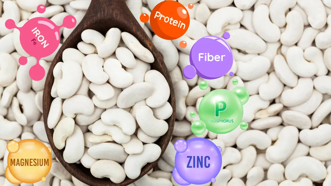 White Kidney Beans