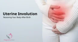 Uterine Involution