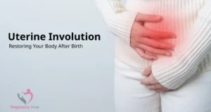 Uterine Involution