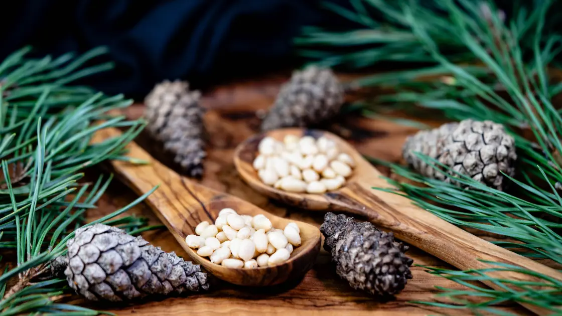 pine kernels