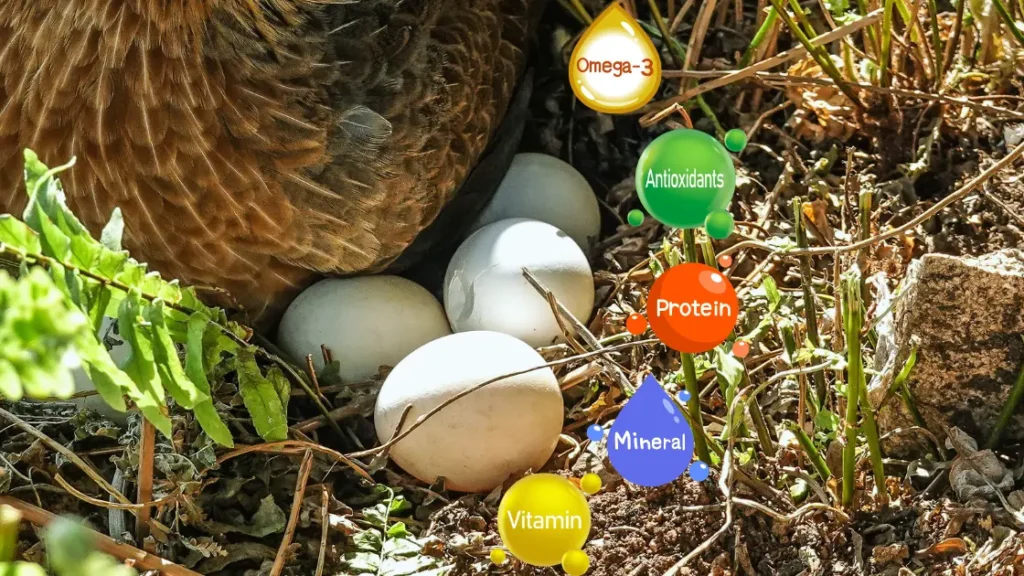Pasture Raised Eggs: Crack the Code of Eggcellence benefits of pasture raised eggs