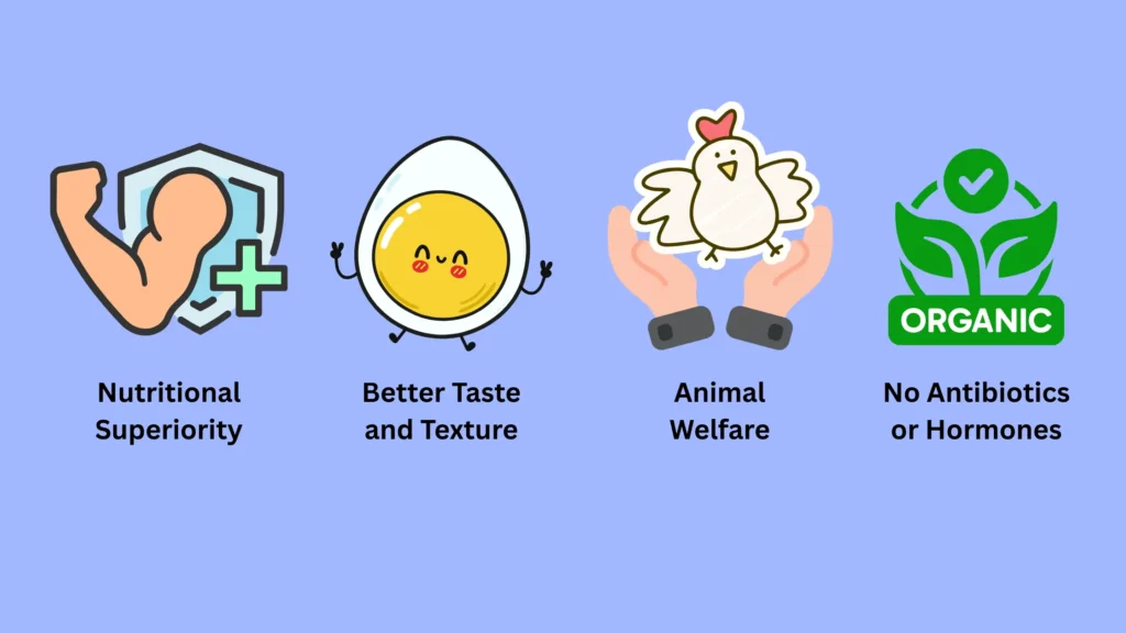 Pasture Raised Eggs: Crack the Code of Eggcellence Benefits of Pasture Raised Eggs