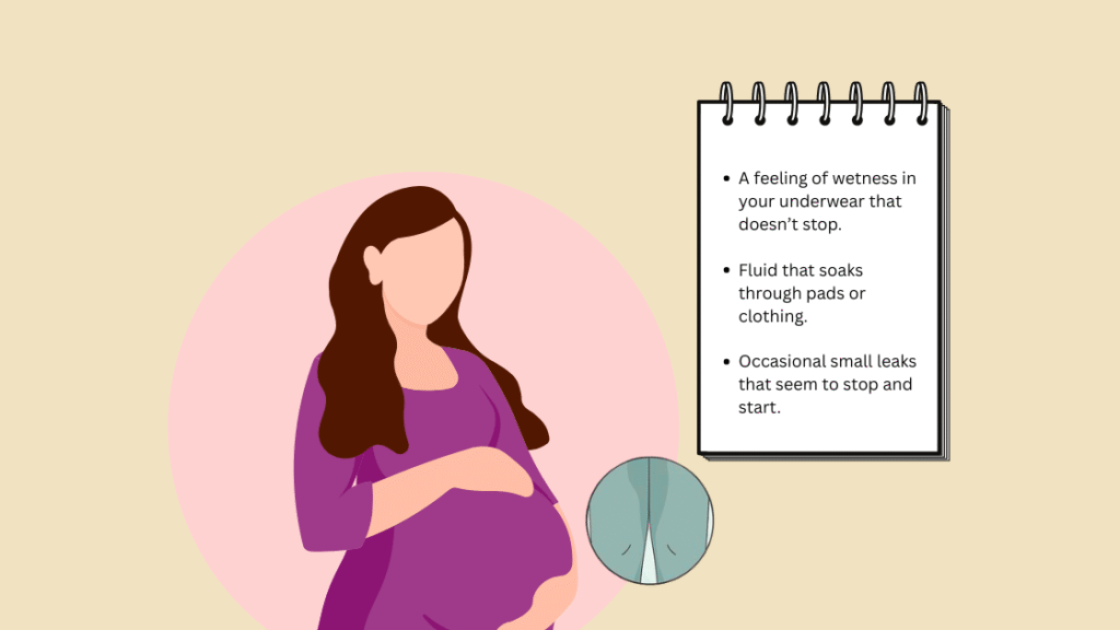 Symptoms of Leaking Amniotic Fluid