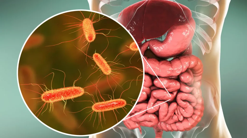 What Are Probiotics