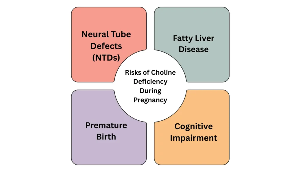 How Much Choline for Pregnancy? Boost Baby’s Brain Power Risks of Choline Deficiency During Pregnancy