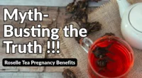 Roselle Tea Pregnancy Benefits